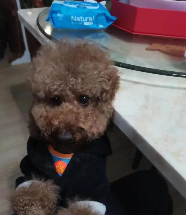 螺旋桨, 不到它叫一