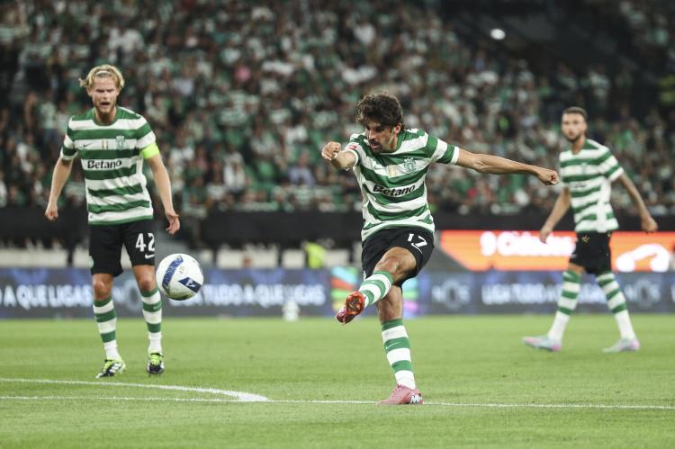 ue, 表葡体共出 ue, 表葡体共出