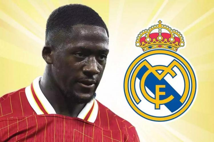 报道, 科纳特本人 报道, 科纳特本人